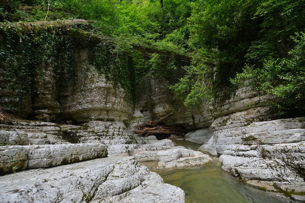 Игорь Онучин/РИА Новости   📷