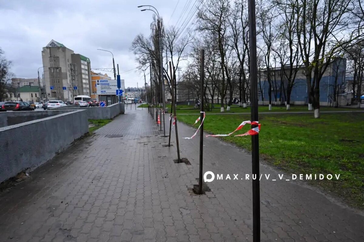    Фото: пресс-служба администрации Белгорода