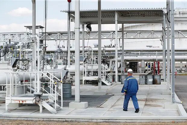    Источник: lenta.ru/ Оливия Ильинская