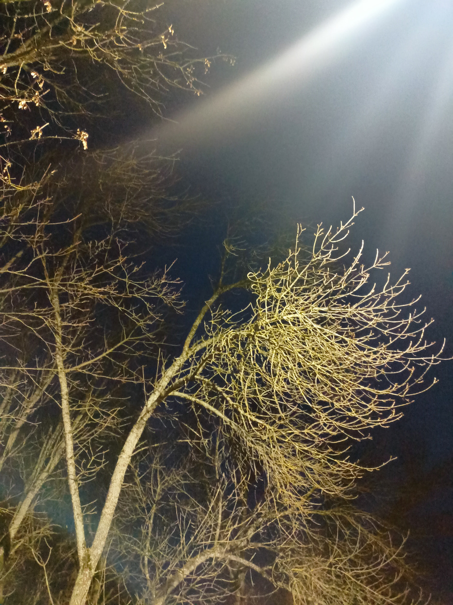 Мрачные фото как мои мрачные мысли.