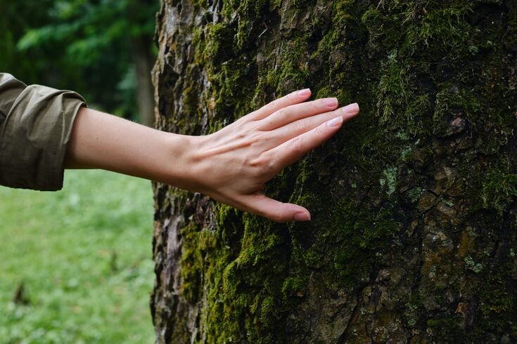 Фото с сайта Pinterest