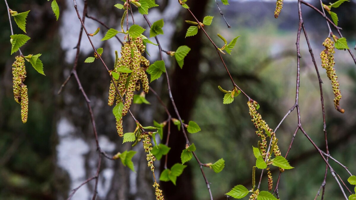    Фото: olko1975/Shutterstock/Fotodom
