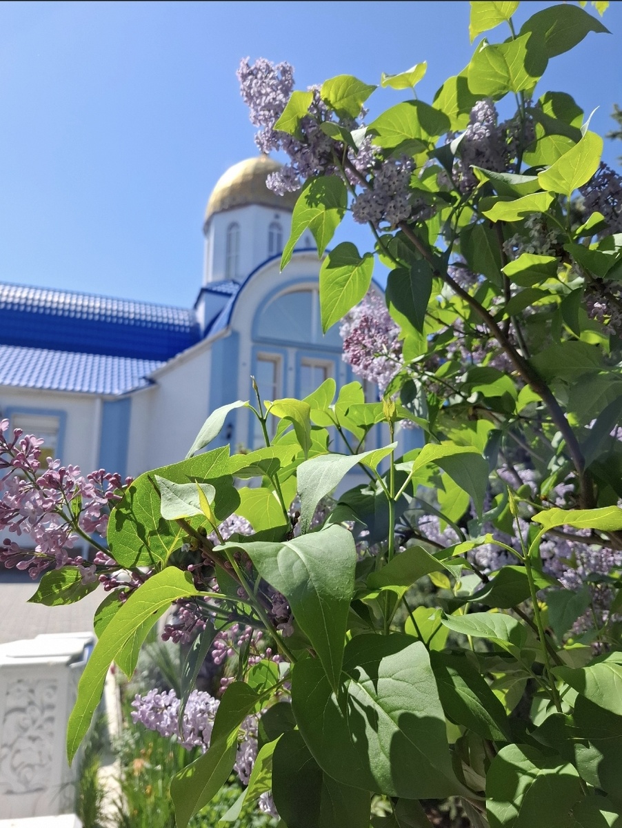 Фото  автора