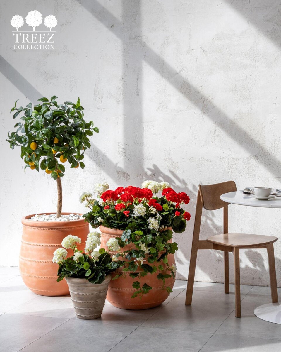 Кашпо и растения TREEZ Collection