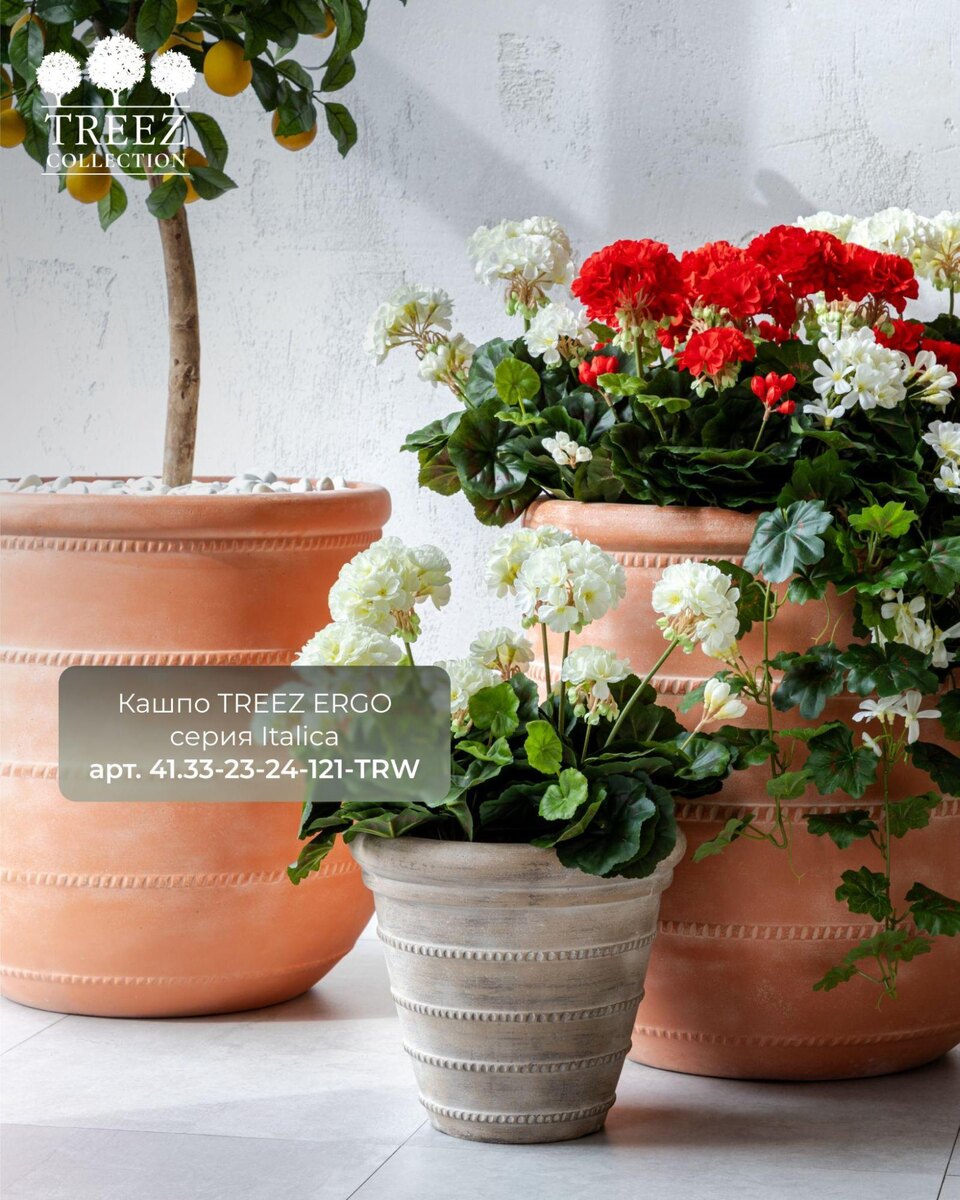 Кашпо и растения TREEZ Collection