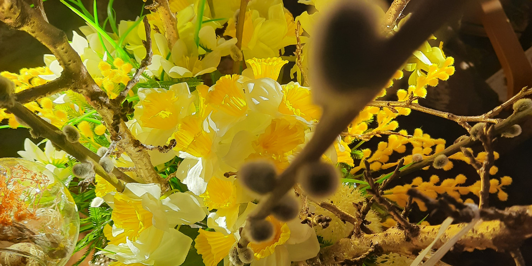 Эффект Маши или как парк превратился в показ маркетплейса