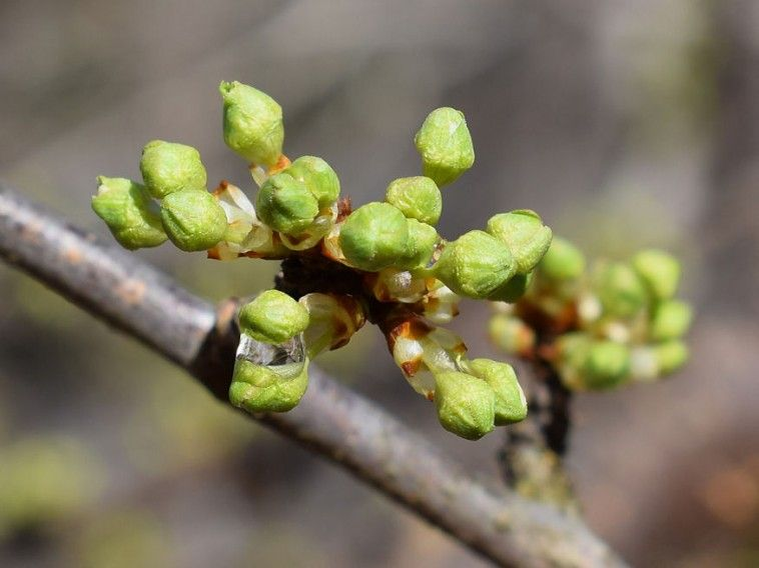 Источник изображения: https://nl.pinterest.com/