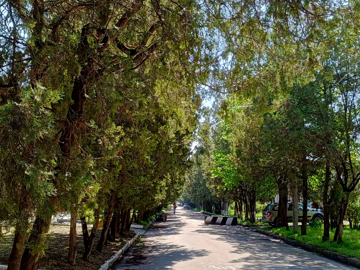 Фото автора.