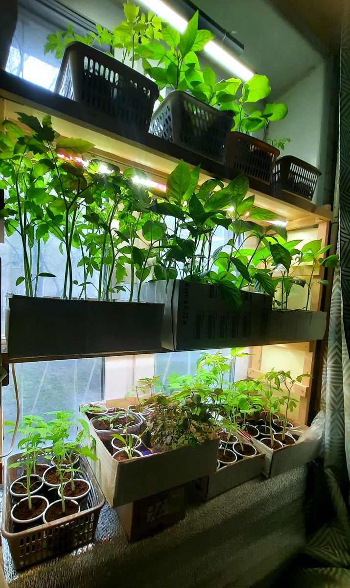 Фото автора. Караул...