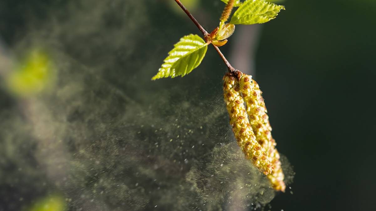    Фото: Shutterstock