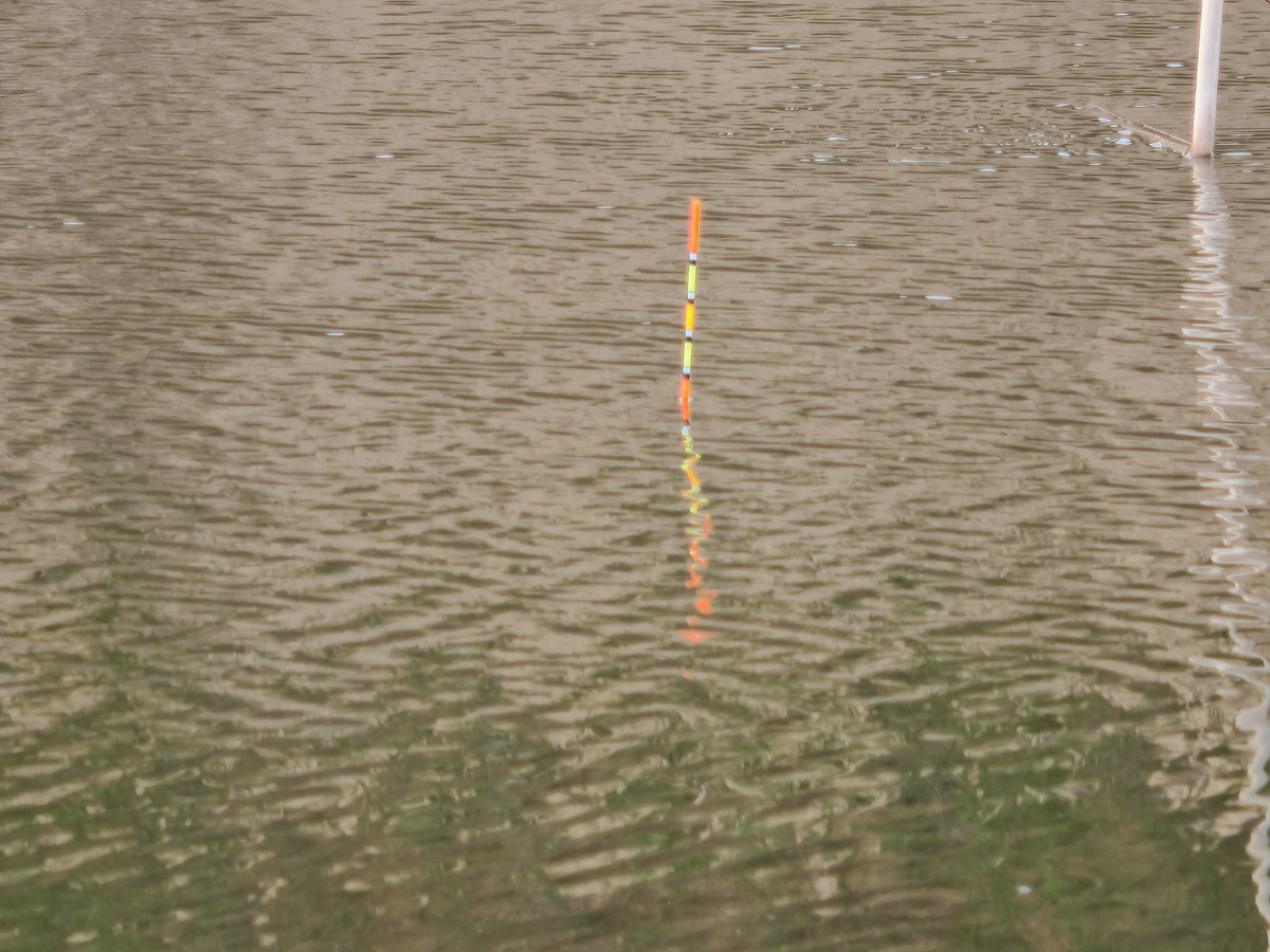 Рыбалка на поплавок 