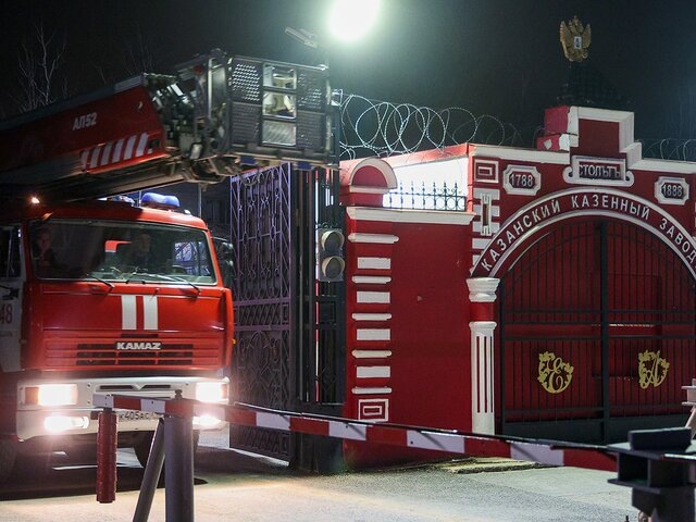    Фото: ТАСС/Егор Алеев