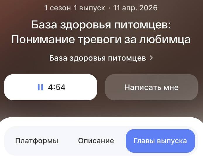 #жиза_холиста