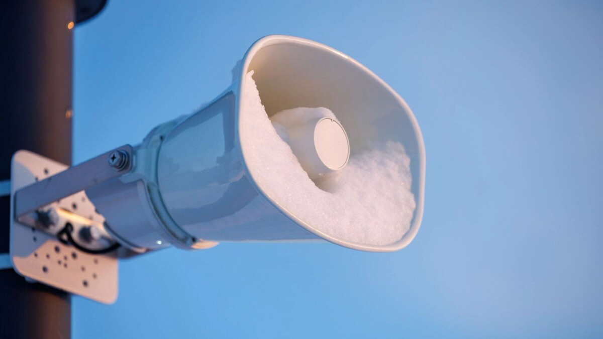    Фото: Федор Воронов / «Ямал-Медиа»