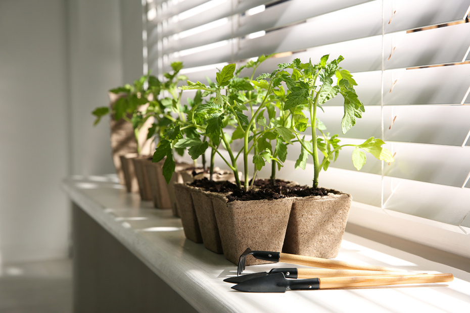    Shutterstock/FOTODOM