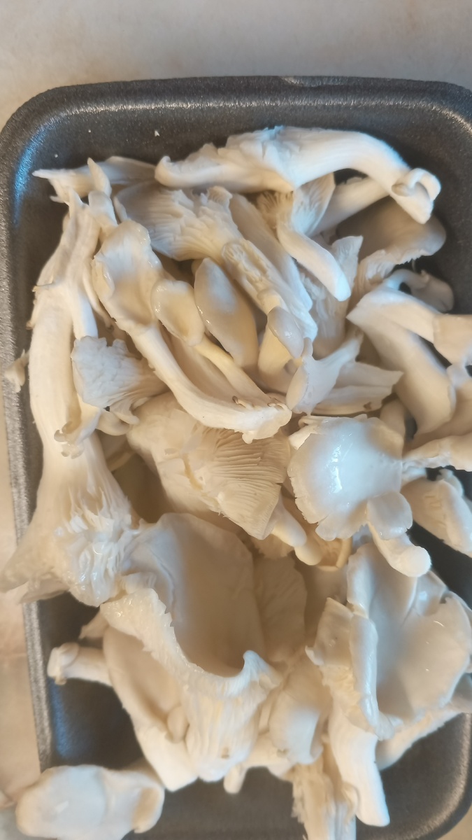 фото автора: вешенки, которые купила в Перекрёстке