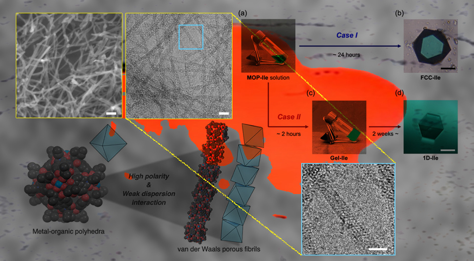   Shuhei Furukawa et al. / Journal of the American Chemical Society, 2026