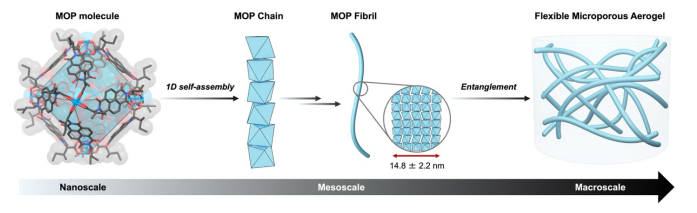   Shuhei Furukawa et al. / Journal of the American Chemical Society, 2026