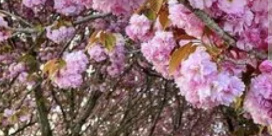 Три любимых песни о весне ч.3