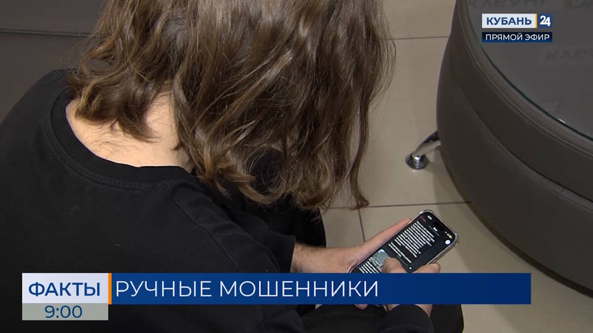    Скриншот видео телеканала «Кубань 24»