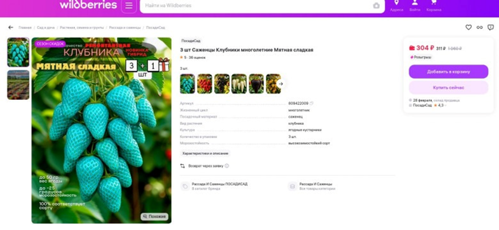 Несуществующая клубника с маркетплейса. Источник: Wildberries 