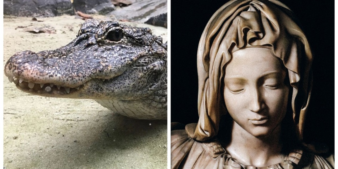 8 фактов, которые заставят переосмыслить кое-что в этой жизни