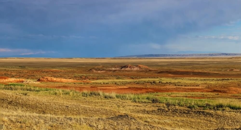 Северокаспийский ареал РФ и Казахстана: совместная борьба с опустыниванием требует ускорения