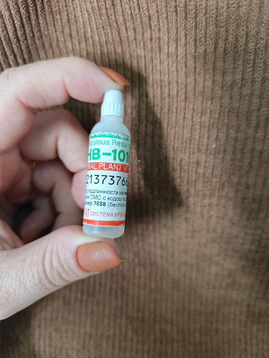 Мой НВ-101, купленный в прошлом году. Фото автора.