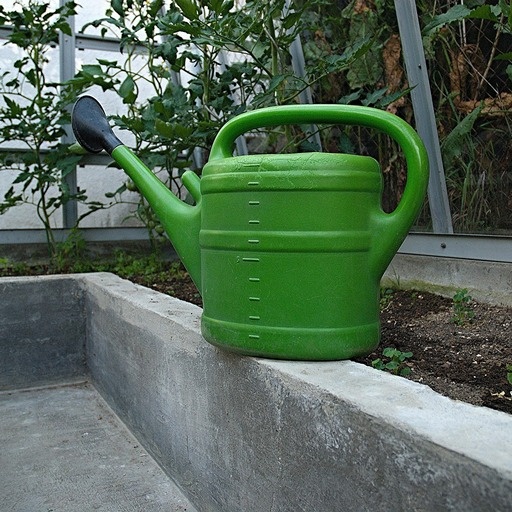    Полив в теплице Кристина Борунова