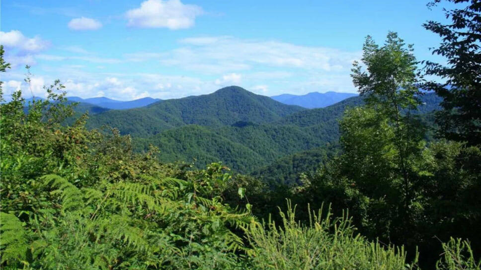 Фото: пресс-служба прокуратуры Краснодарского края