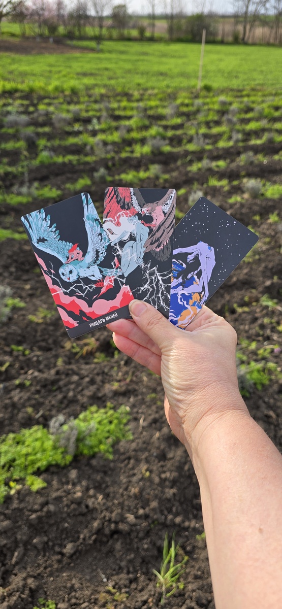 Фото расклада 