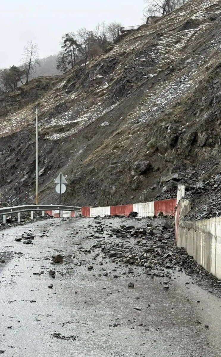 Фото:пресс-служба Главы и правительства Ингушетии