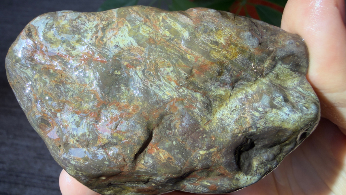 Загадочный образец (мокрый)