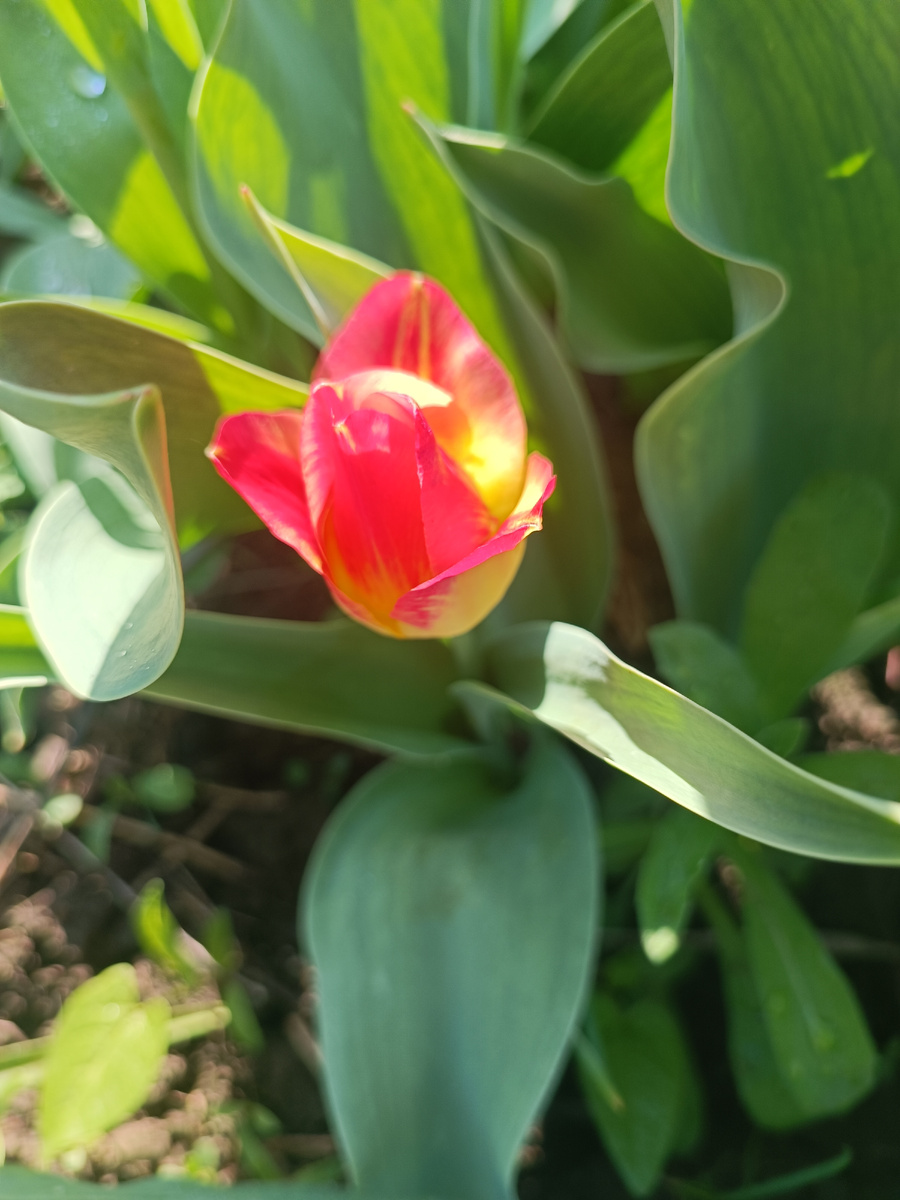 Не могу же я про цветочки каждый день 🙈