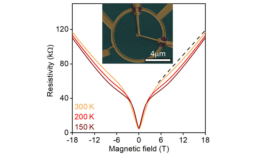     Зависимость удельного сопротивления графенового диска от магнитного поля, снятая в геометрии Корбино для различных температур. Xin, N., Lourembam, J., Kumaravadivel, P. et al. / Nature, 2023
