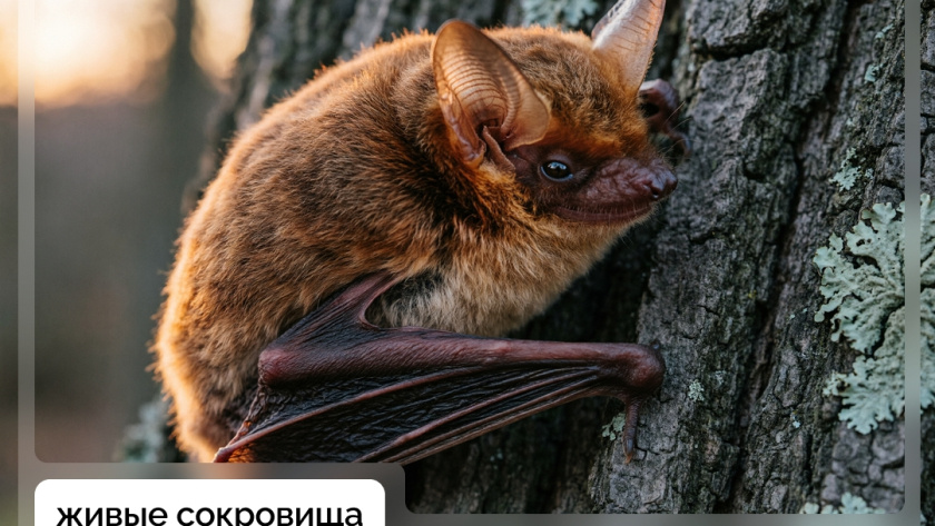    Фото: Администрация г. Костромы
