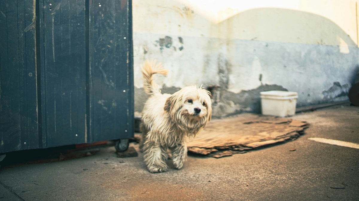    Фото несет иллюстративный характер