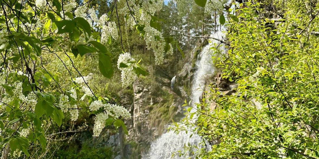 Алтай: что посмотреть. Самый доступный и посещаемый водопад