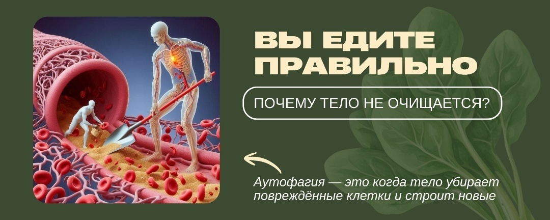 Создать карусель