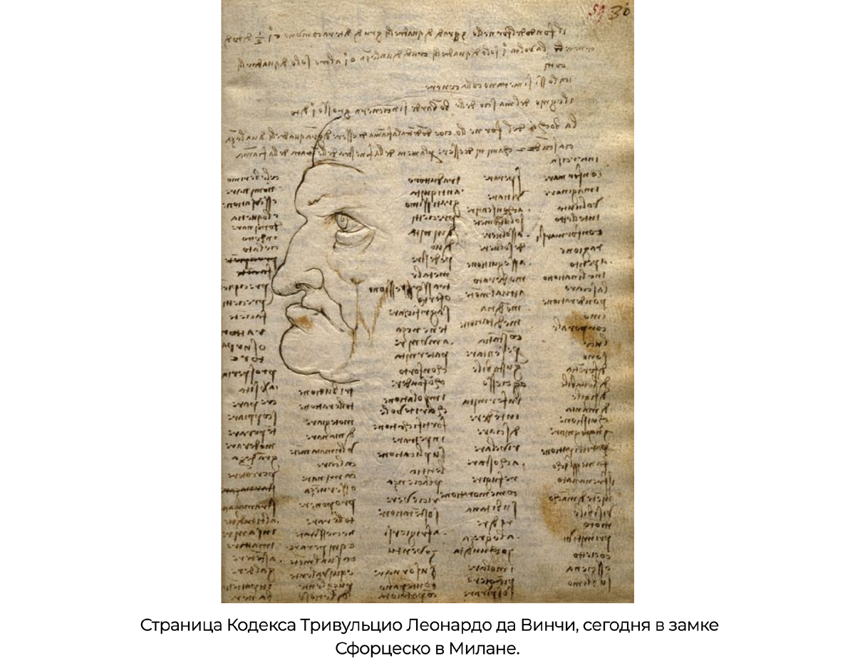 Источник фото: wilimedia