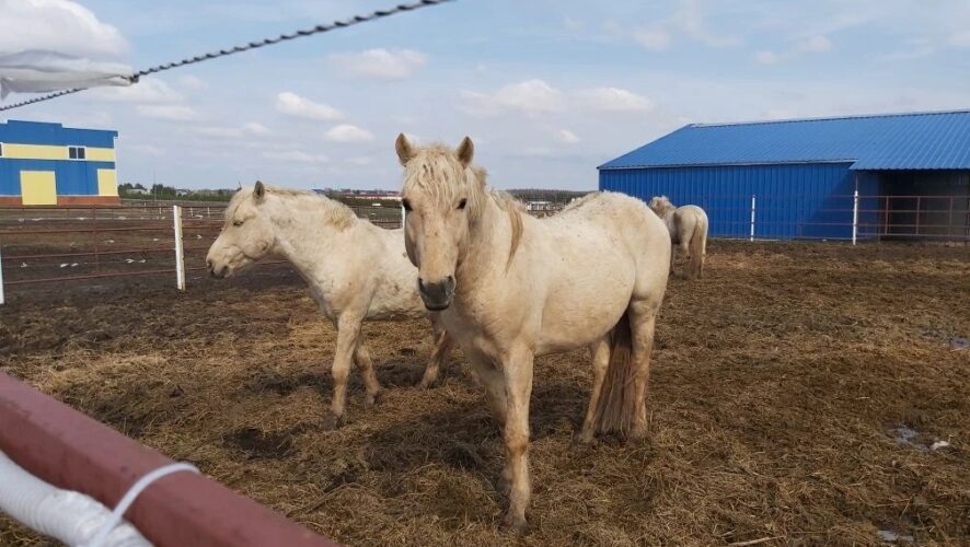    Фото: KazanFirst