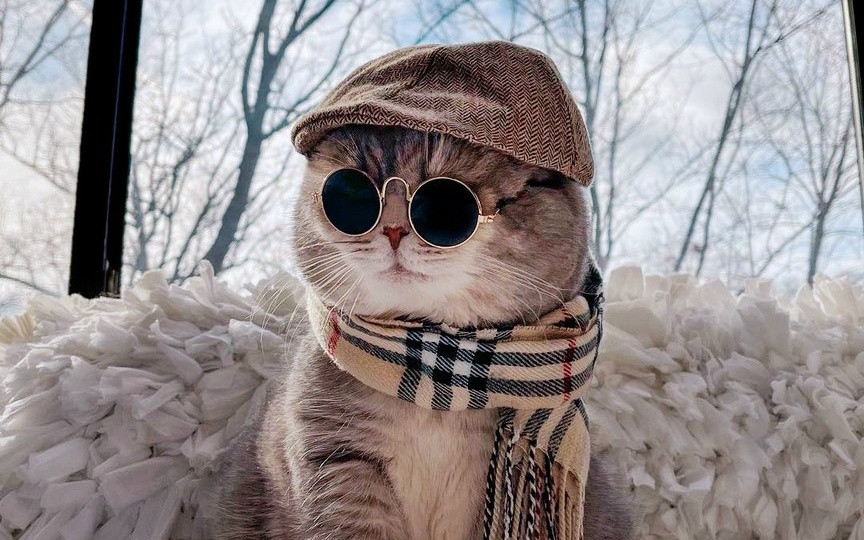 Наташина идея