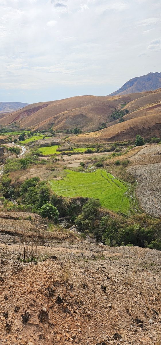 Зеленые кусочки полей- это рис растет. Мадагаскар.