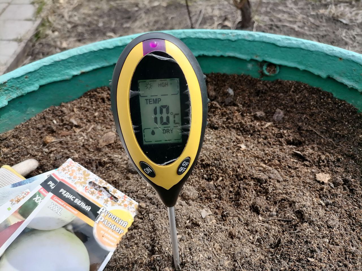 Сажаю редис в бочку, семена неправильные, не ранние сорта, фото автора