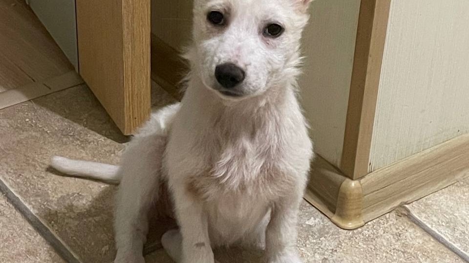 ❤️ Наденька из сугроба: трогательная история малышки, которая ищет маму и папу 🥶