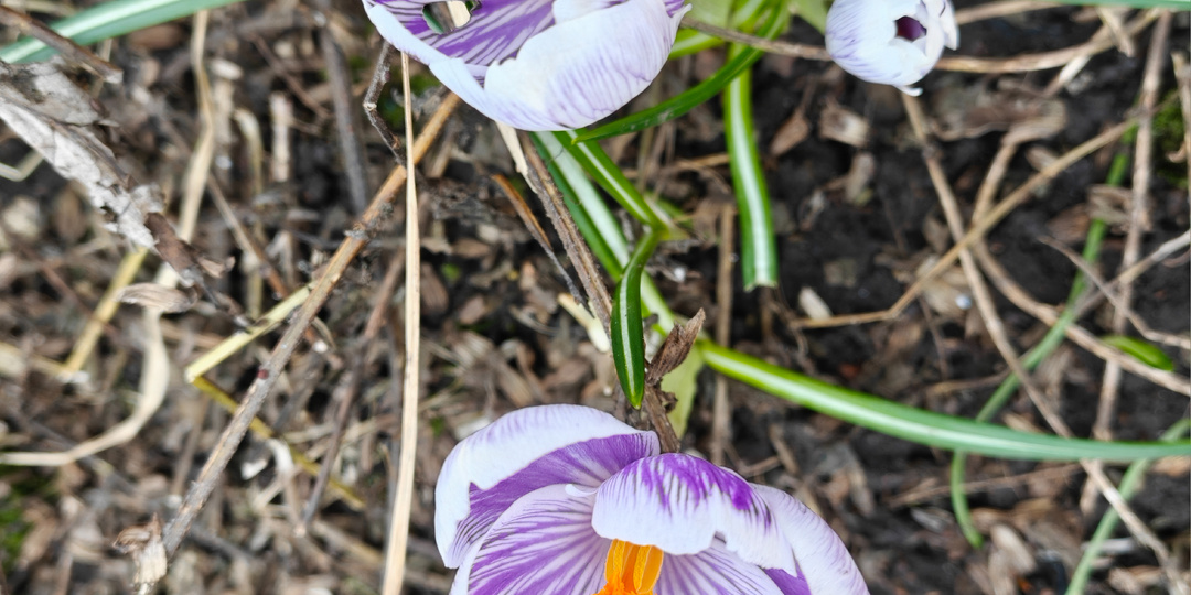 Про женскую дружбу или Почему мне со старой школьной подругой общаться трудно