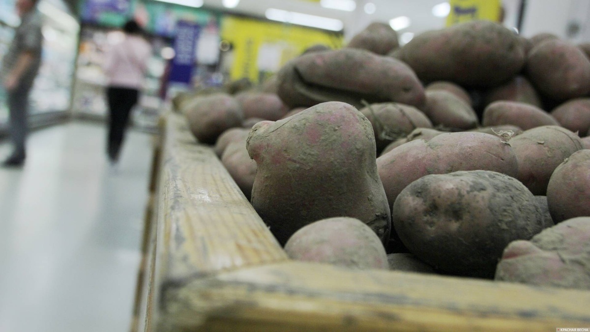     Картофель   
Константин Ерёмин © ИА Красная Весна