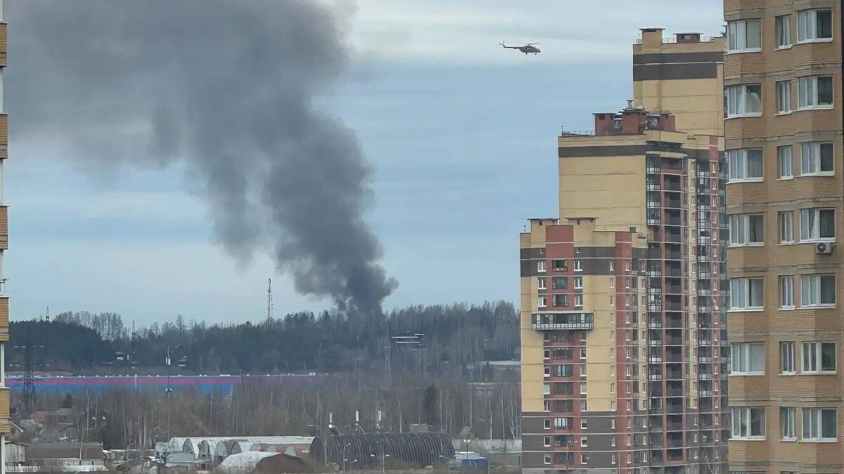    Фото: "Наш Парнас | Санкт-Петербург"