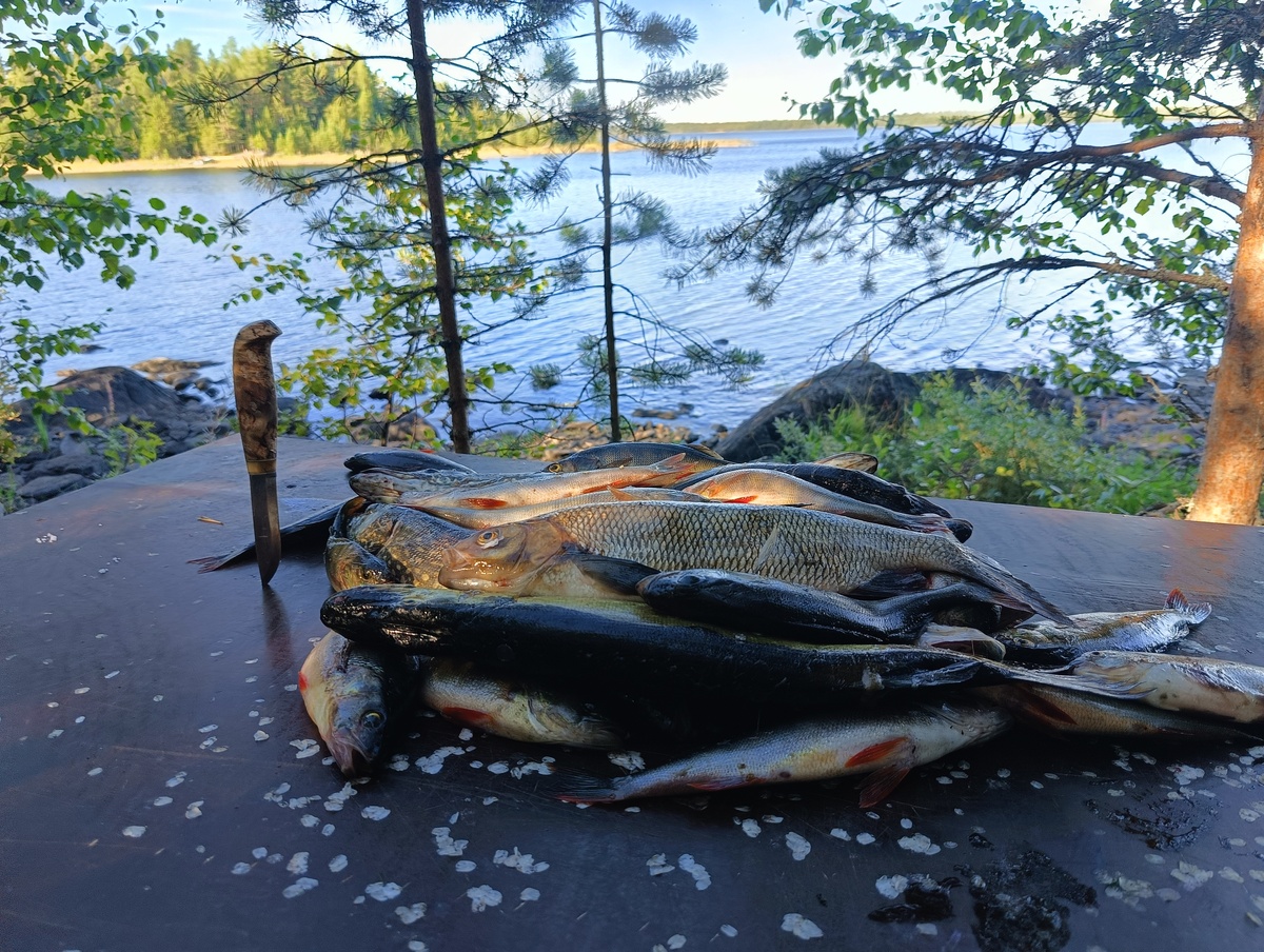    фото: © Столица на Онего