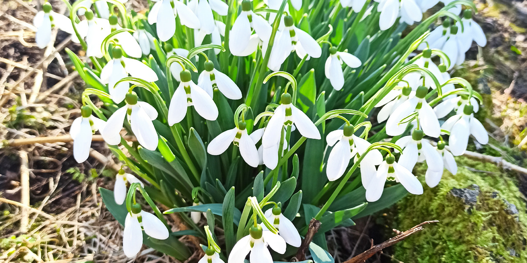 Весна. Порядок на кухне, экология и здоровье в офисе.